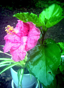 P1070470