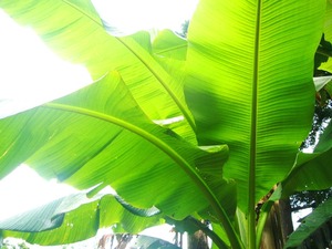 P1050894