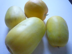 2010 002
