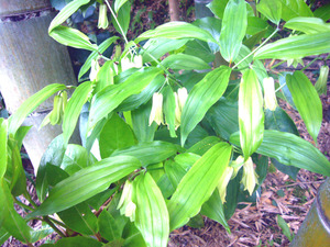 P1070300