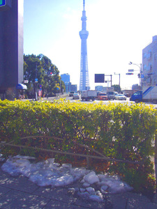 P1060630