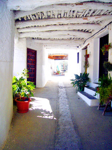 P1050671