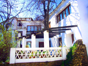 P1050660