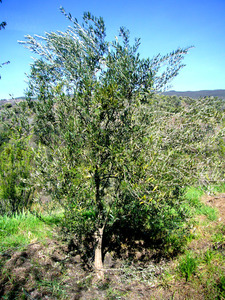 P1050654