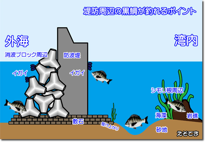 黒鯛の生息ポイント_NEW_670pix