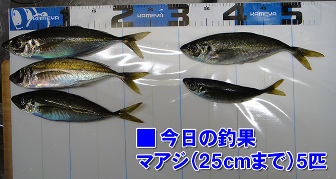 釣果01_670pix