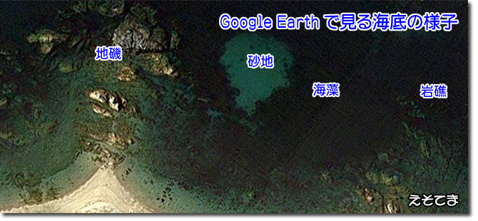 海底の様子