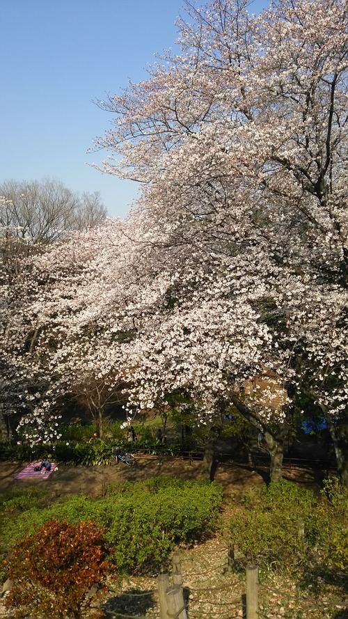 20180416-4