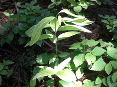 resize0016