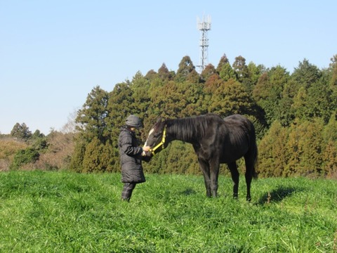 adachi_1