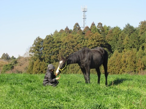 adachi_3