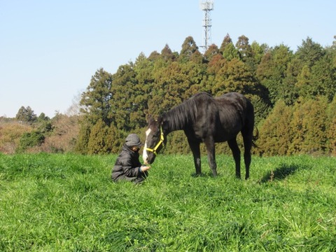 adachi_4