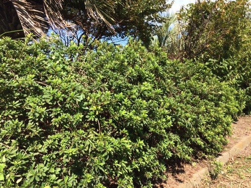 IMG_4688 - ���ԡ�