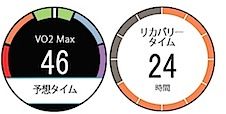 VO2max(最大酸素摂取量)