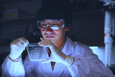 Teruaki Nakatsuji