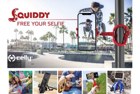 SQUIDDY スクイディ