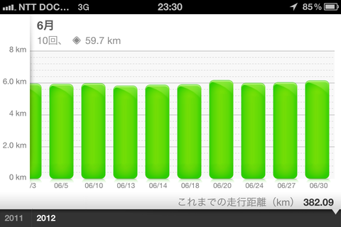 Nike+ Running アクティビティグラフ