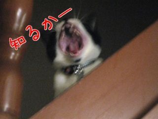 cc_R