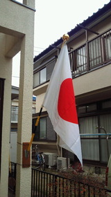 a41fe468.jpg
