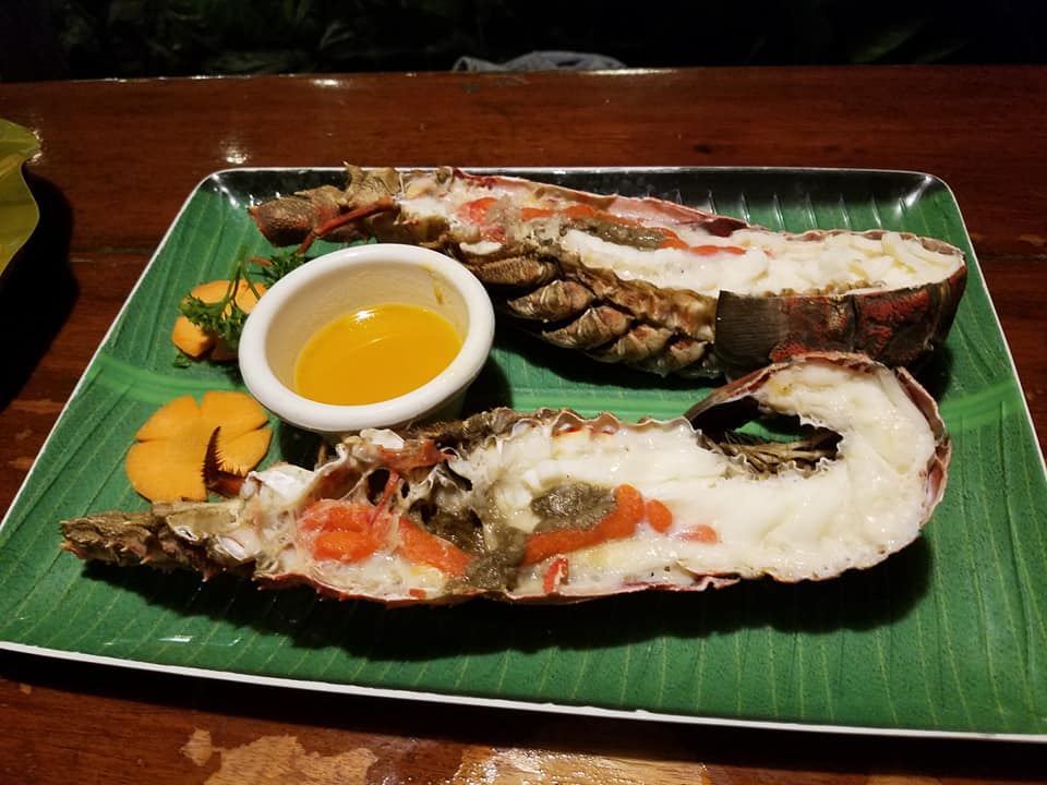 32336699_1652218011563700_8352211678334550016_n