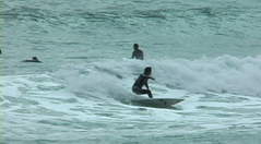 zuccho