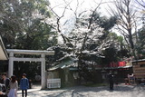nogijinja