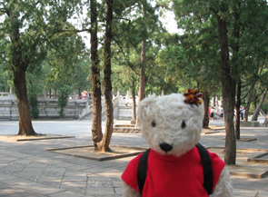 テディベア中国の旅2