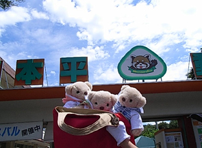 日本平動物園 白クマ