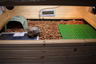 new verabon cage