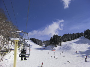 SANY0261