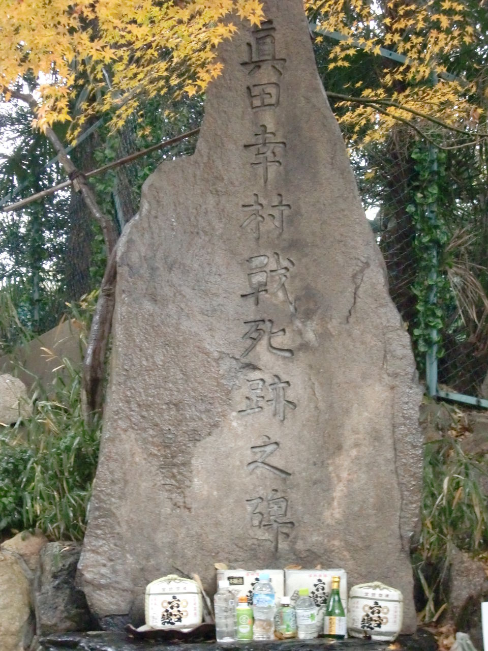 CIMG6271