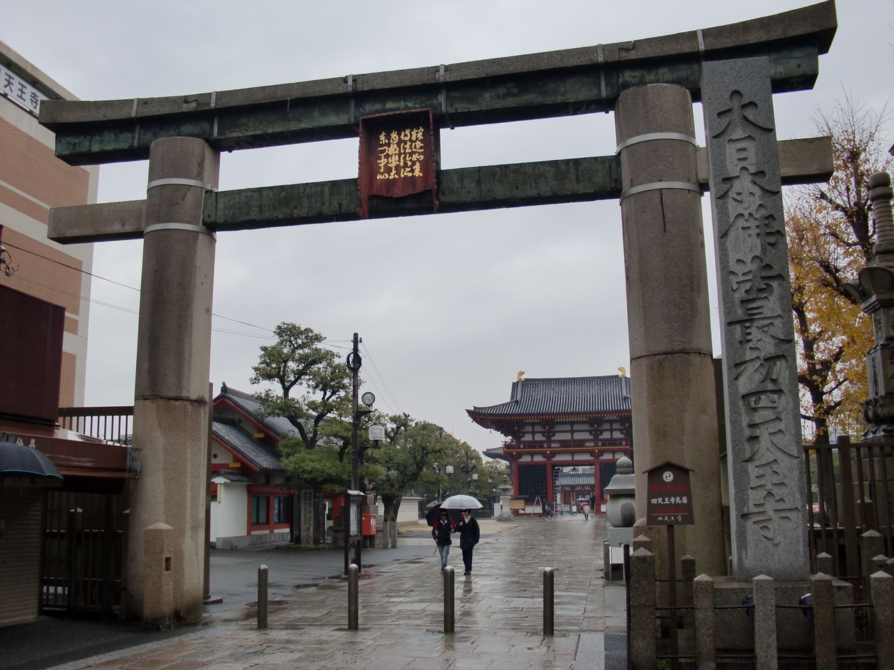 CIMG6242