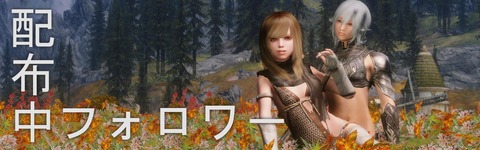 配布中のフォロワー