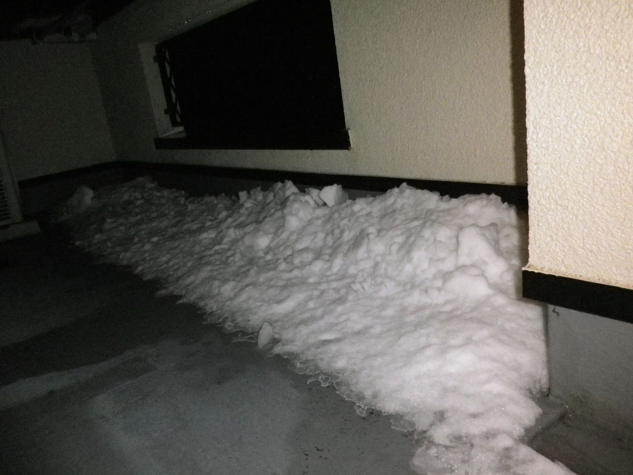 �٥�������