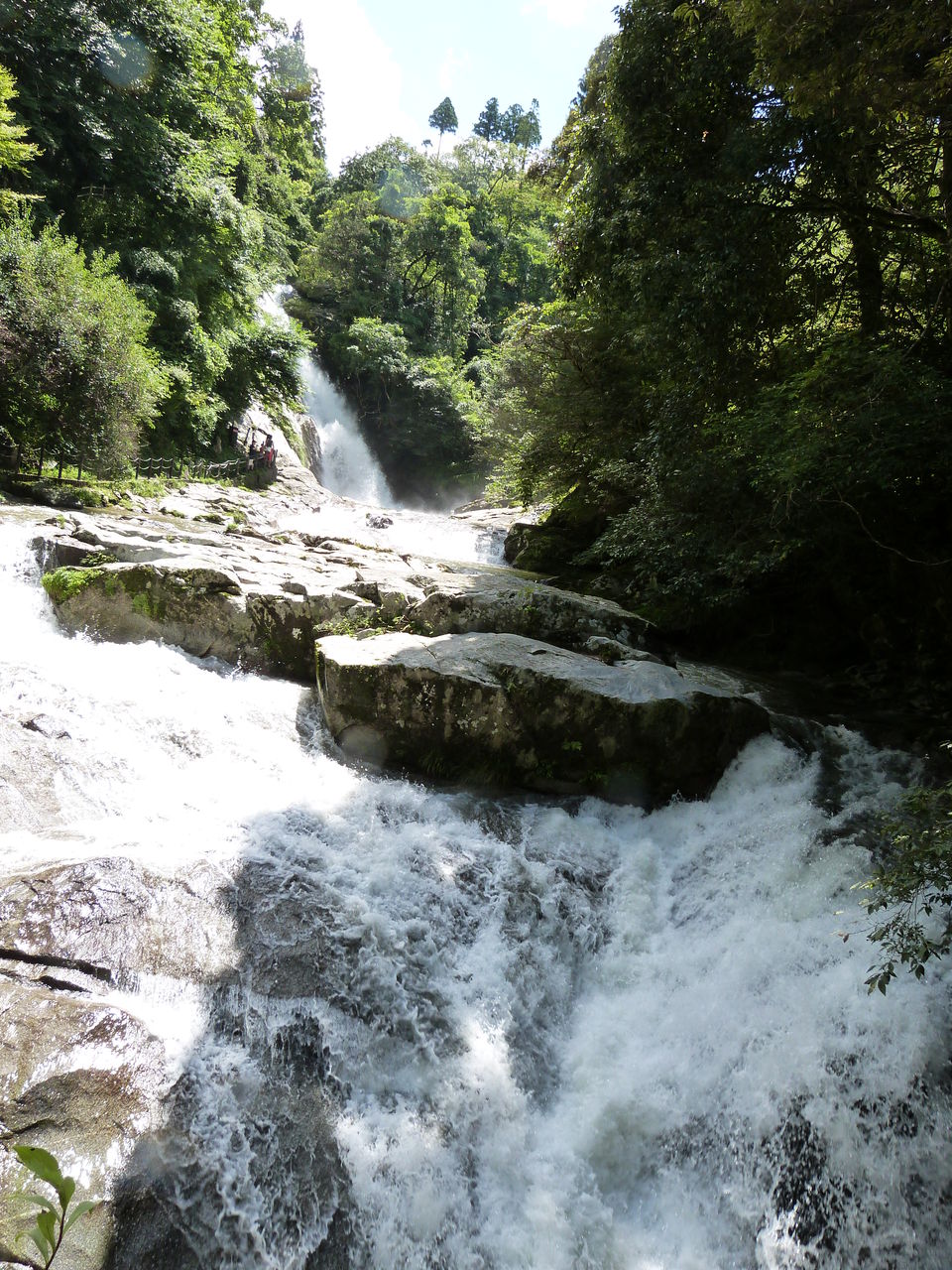 �Ѳ�����