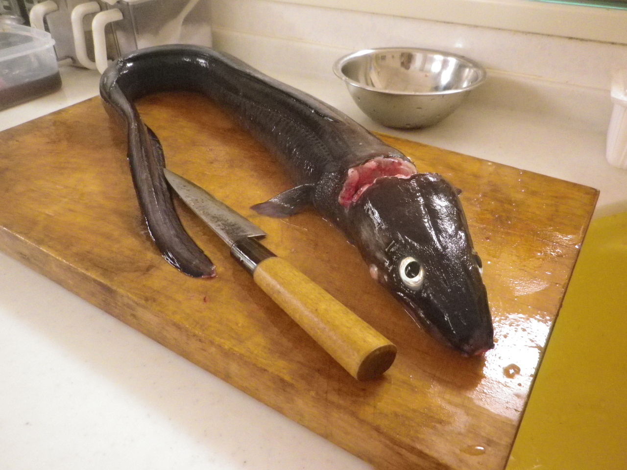 �����ʥ�