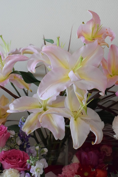 お花8
