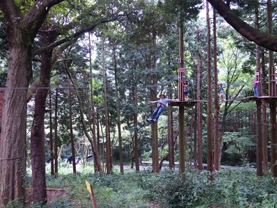 キャノピコース