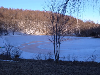 R0055805