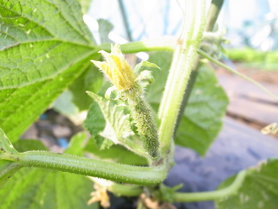 R0042795