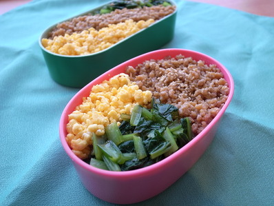 三色+1そぼろ丼