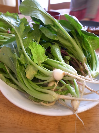 青野菜サラダ