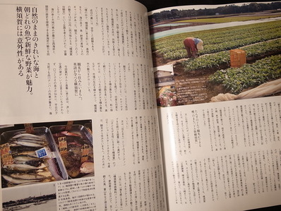 地知志食