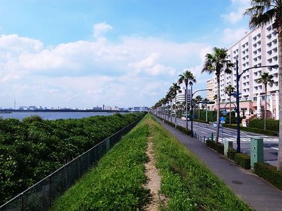 東京ベイb