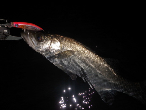 P6270443