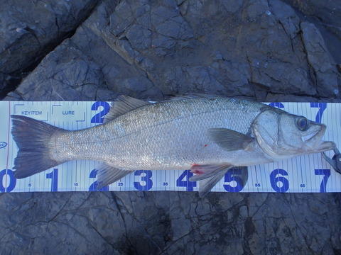 P9130889