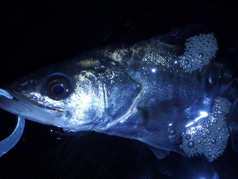 P3080070