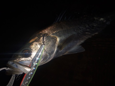 P5080014