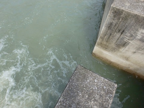 PA070074