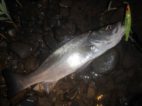 P5020262